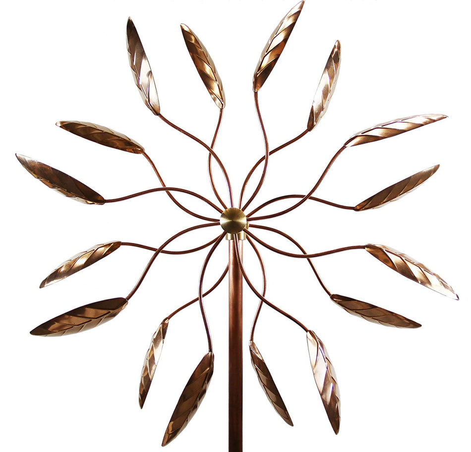 Spinning Ficus Leaves